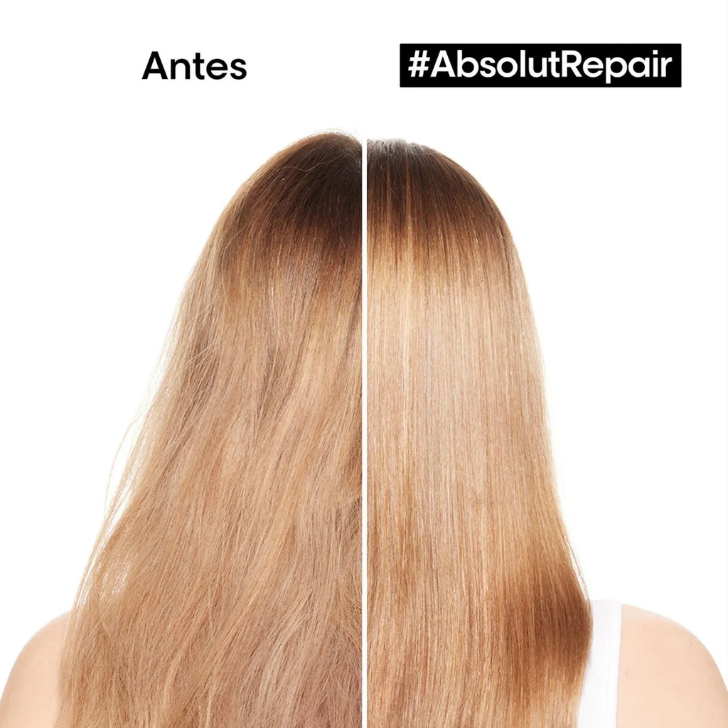 Absolut Repair Bolsa Refill